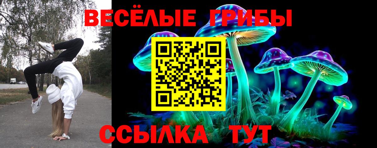 Галлюциногенные грибы MAGIC MUSHROOMS Артём