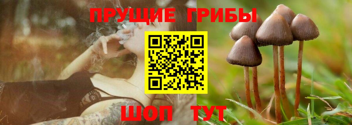 Галлюциногенные грибы GOLDEN TEACHER  закладки  Вход с VPN  Артём  Галлюциногенные грибы мухоморы 
